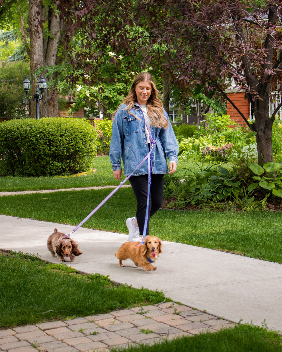women using the hands free leash walking with two small dogs