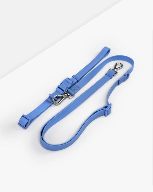 wanderwag hands free leash on a white backdrop