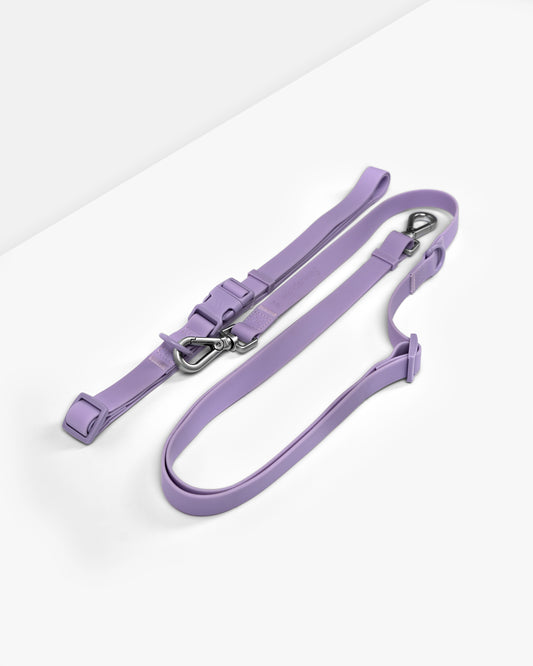 wanderwag hands free leash on a white backdrop