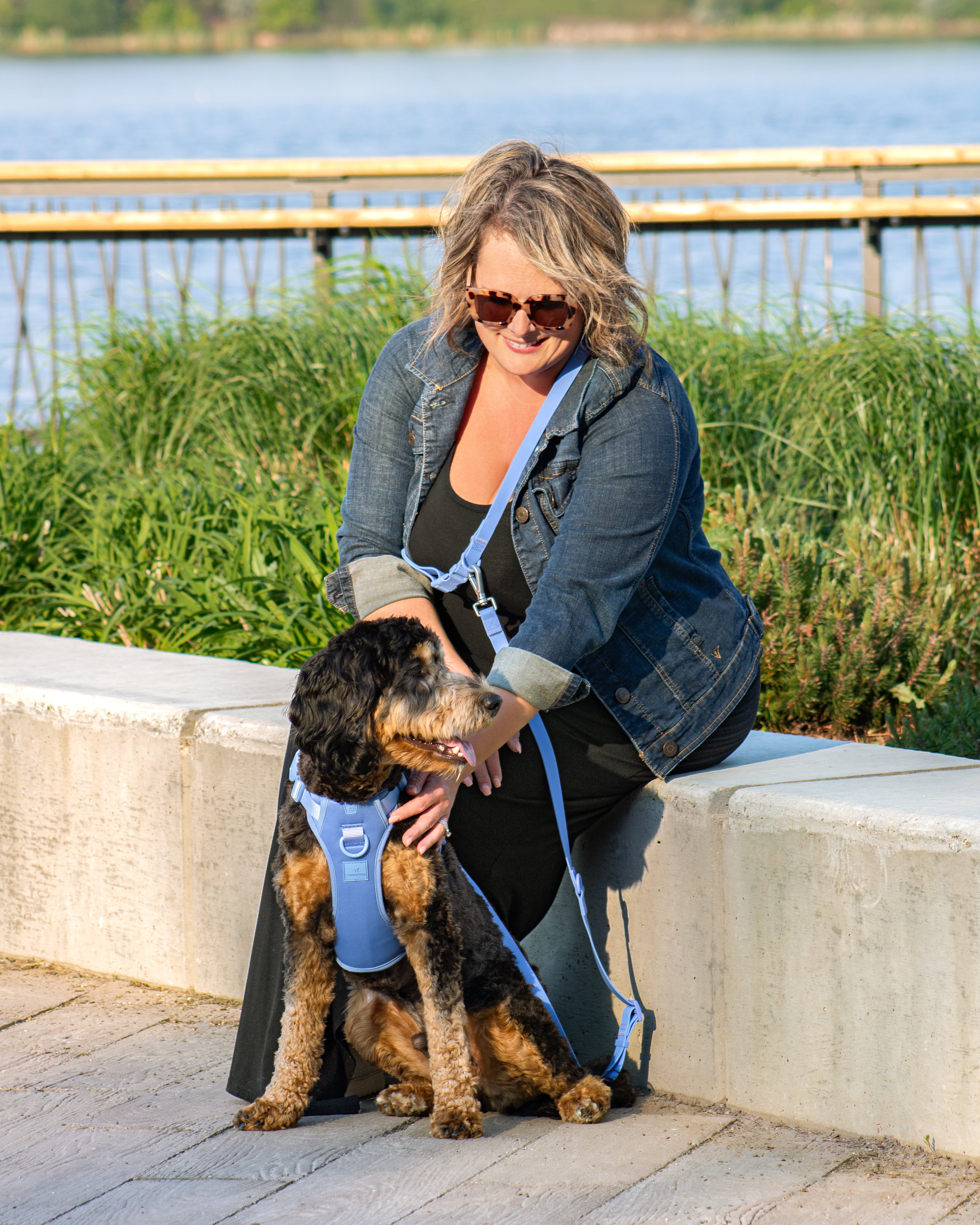 lifestyle photo of a dog sitting with the harness on and a human sitting with one hand holding the dg