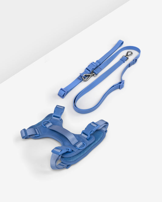 harness and leash laying flat on white backdrop