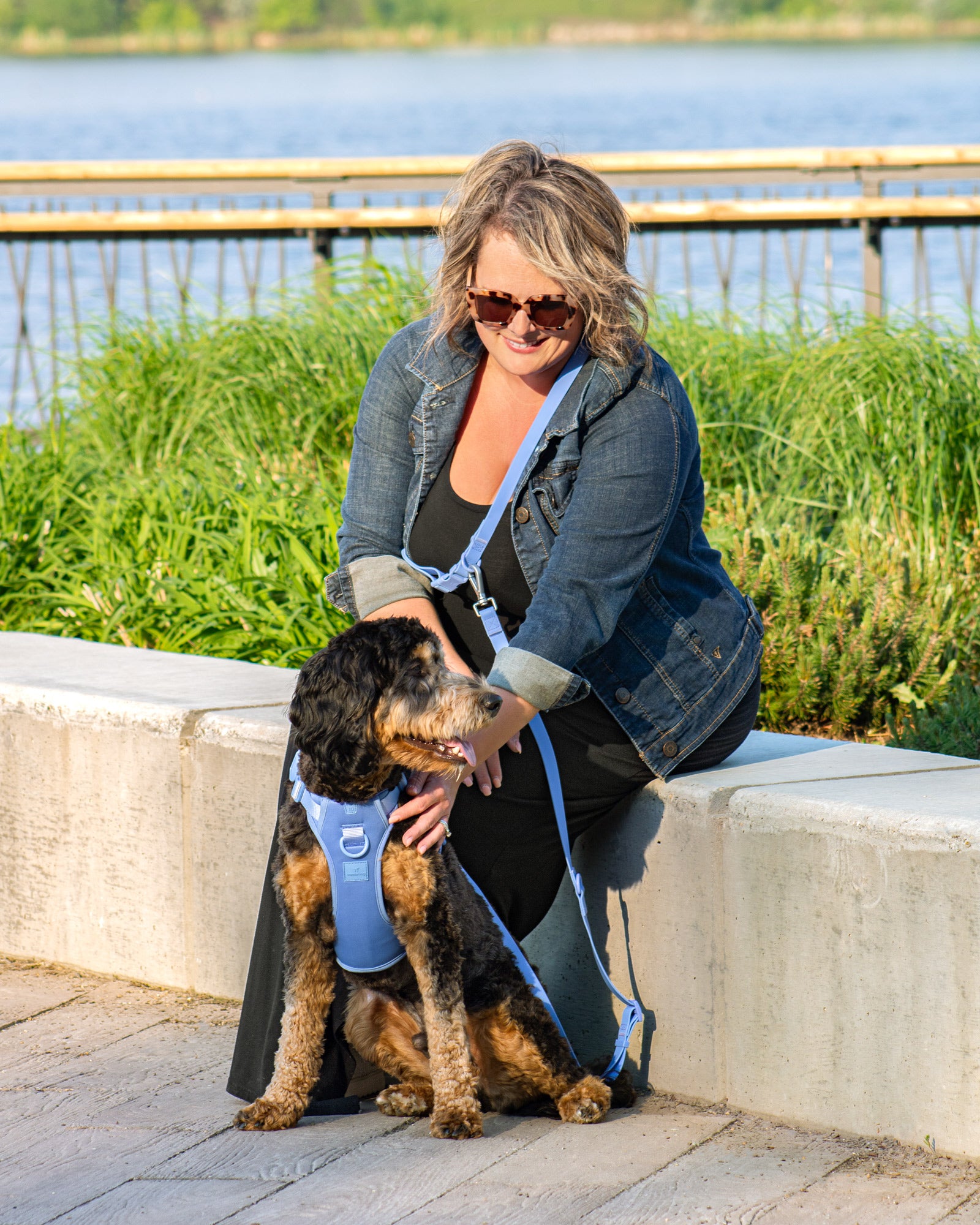 women siting in a park with a large dog next to her wearing a harness and leash