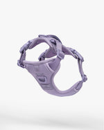 front of harness